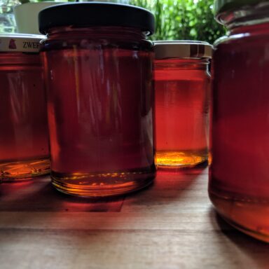 Löwenzahnsirup in Gläsern